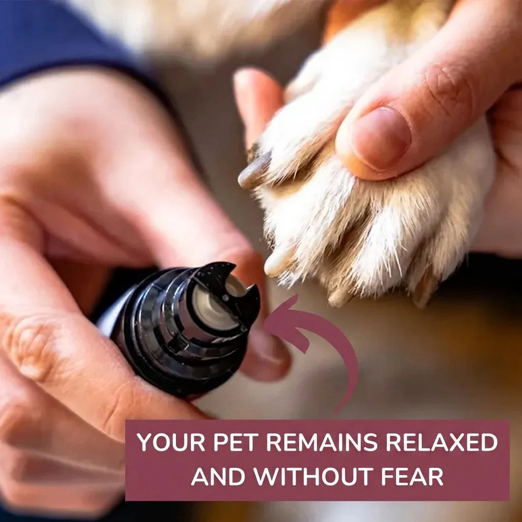 Close-up of the grinding head with the protective cap removed, approaching a dog's paw held gently in one hand.