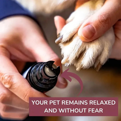 Close-up of the grinding head with the protective cap removed, approaching a dog's paw held gently in one hand.
